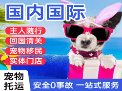 洛阳北郊机场快运国际宠物托运 【国